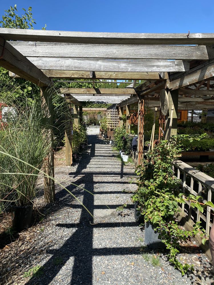 KENT’S GARDEN & NURSERY 21 Photos & 17 Reviews 5428 Northwest Dr