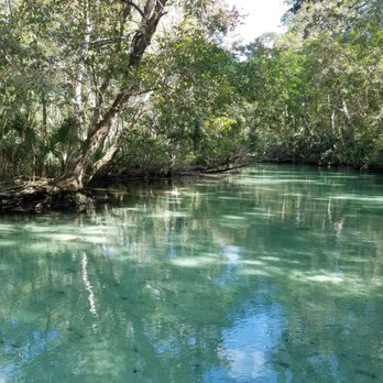 Sup Weeki - Rafting/Kayaking Near Me - Weeki Wachee, Florida Sup Weeki - Rafting/Kayaking Near Me - Weeki Wachee, Florida