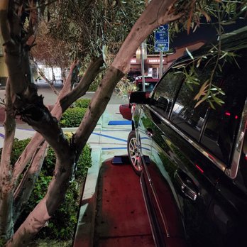 CVS Pharmacy - Tree to close to handicap spot driver door. - Drugstores Near Me - San Diego, California CVS Pharmacy - Tree to close to handicap spot driver door. - Drugstores Near Me - San Diego, California