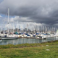 Shoreline Park at Marina Village