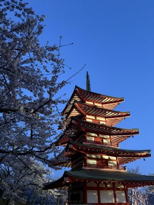 Chureito Pagoda by null