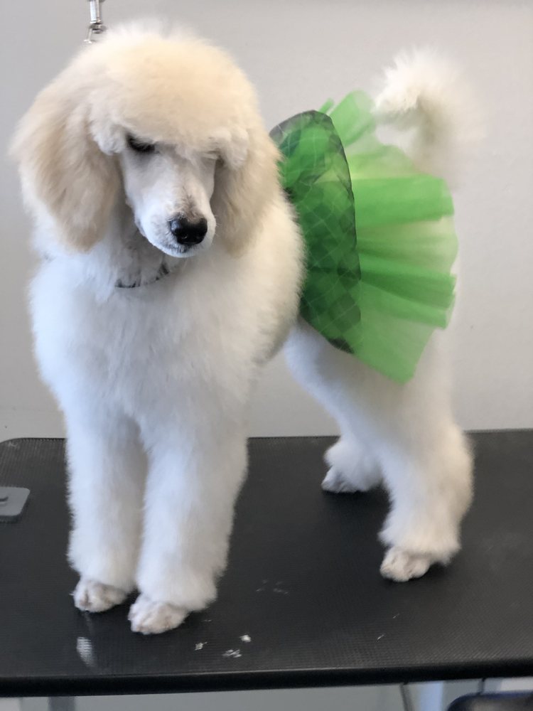 A TOUCH OF CLASS Updated July 2024 52 Photos & 11 Reviews 860 E