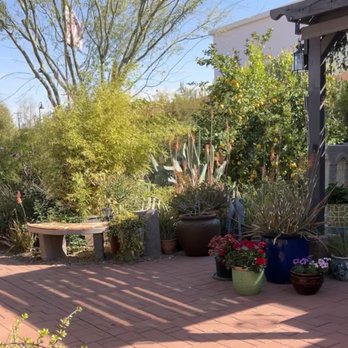 KB SkinCure - Secret garden walk to entrance - Skin Care Near Me - Scottsdale, Arizona KB SkinCure - Secret garden walk to entrance - Skin Care Near Me - Scottsdale, Arizona