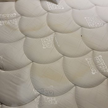 Motel 6 - Multiple urine stains that clearly had not been dealt with. - Hotels Near Me - Sutherlin, Oregon Motel 6 - Multiple urine stains that clearly had not been dealt with. - Hotels Near Me - Sutherlin, Oregon
