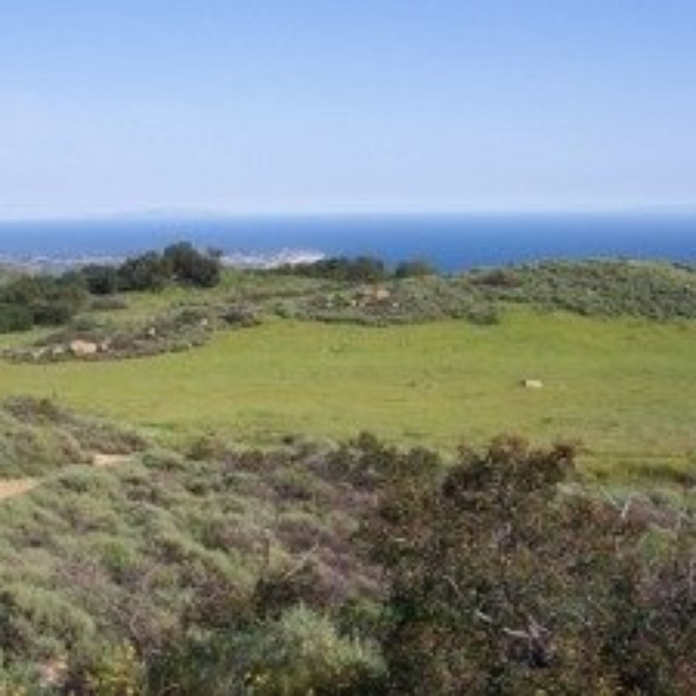 Charmlee Wilderness Park - Beeeeyoooteeeful Charmlee - Parks Near Me - Malibu, California
