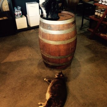 Hawk Watch Winery - Sweet kitties are part of the intimate settin - Wineries Near Me - Warner Springs, California Hawk Watch Winery - Sweet kitties are part of the intimate settin - Wineries Near Me - Warner Springs, California