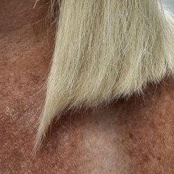 Be Salon - WTF?!