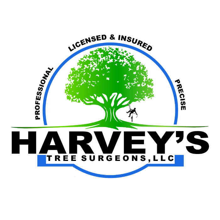 Harvey's Tree Surgeons - tree service in Prairieville, LA