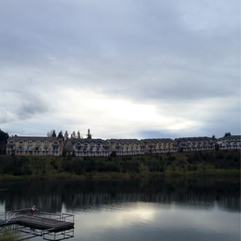 Ava Roasteria - Amazing view from the patio! - Desserts Near Me - Beaverton, Oregon