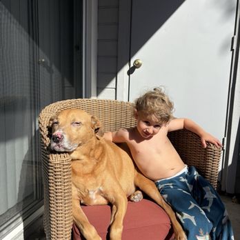 The Cape - My son, relaxing Sunday, then with the pups - Apartments Near Me - Costa Mesa, California The Cape - My son, relaxing Sunday, then with the pups - Apartments Near Me - Costa Mesa, California