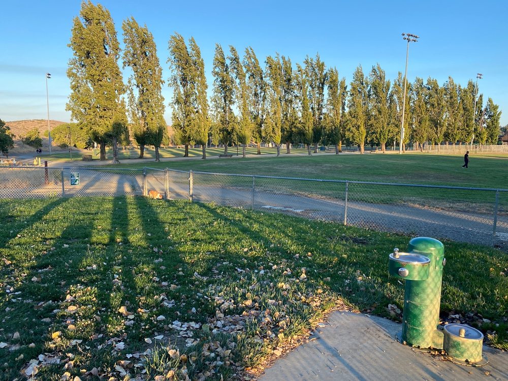 PHENIX DOG PARK Updated May 2024 32 Photos & 15 Reviews 100