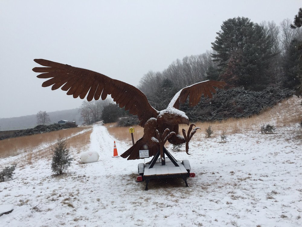 SHEPAUG EAGLE OBSERVATION AREA Updated September 2024 2225 River Rd, Southbury, Connecticut