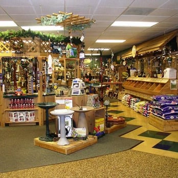 California Backyard Birds, Inc - Bird Shops Near Me - Encinitas, California California Backyard Birds, Inc - Bird Shops Near Me - Encinitas, California