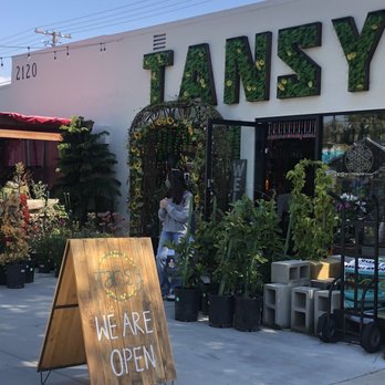 Tansy - Home Decor Near Me - Burbank, California Tansy - Home Decor Near Me - Burbank, California