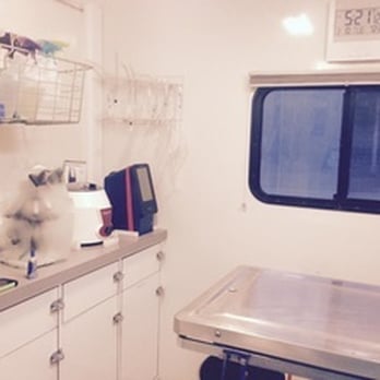 On The Spot Vet Care - Exam area - photo taken from website - Pet Services Near Me On The Spot Vet Care - Exam area - photo taken from website - Pet Services Near Me