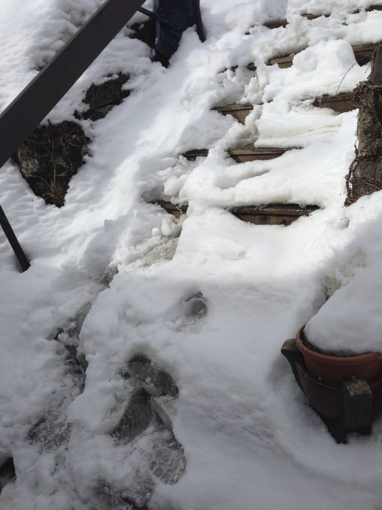 BRUCE’S LANDSCAPING Updated June 2024 RR 3, Meredith, New Hampshire