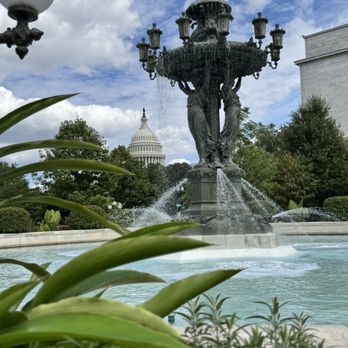 United States Botanic Garden - Botanical Gardens Near Me - Washington, DC, District of Columbia United States Botanic Garden - Botanical Gardens Near Me - Washington, DC, District of Columbia