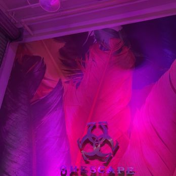 OMESCAPE - Updated September 2025 - 190 Photos & 283 Reviews