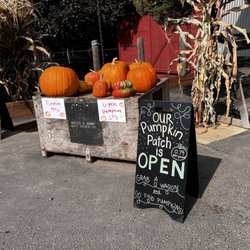 Pearl's Place - The pumpkin patch is open!