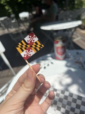The Marylander by null