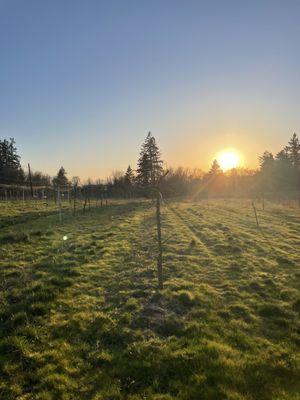 RAW Cider Company by null