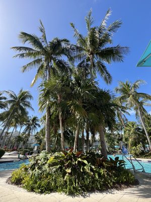 Tranquility Bay Beachfront Resort by null