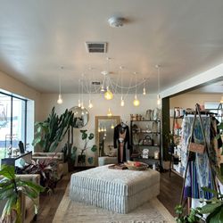 White Cactus Salon