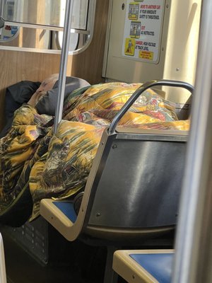 Chicago Transit Authority by null