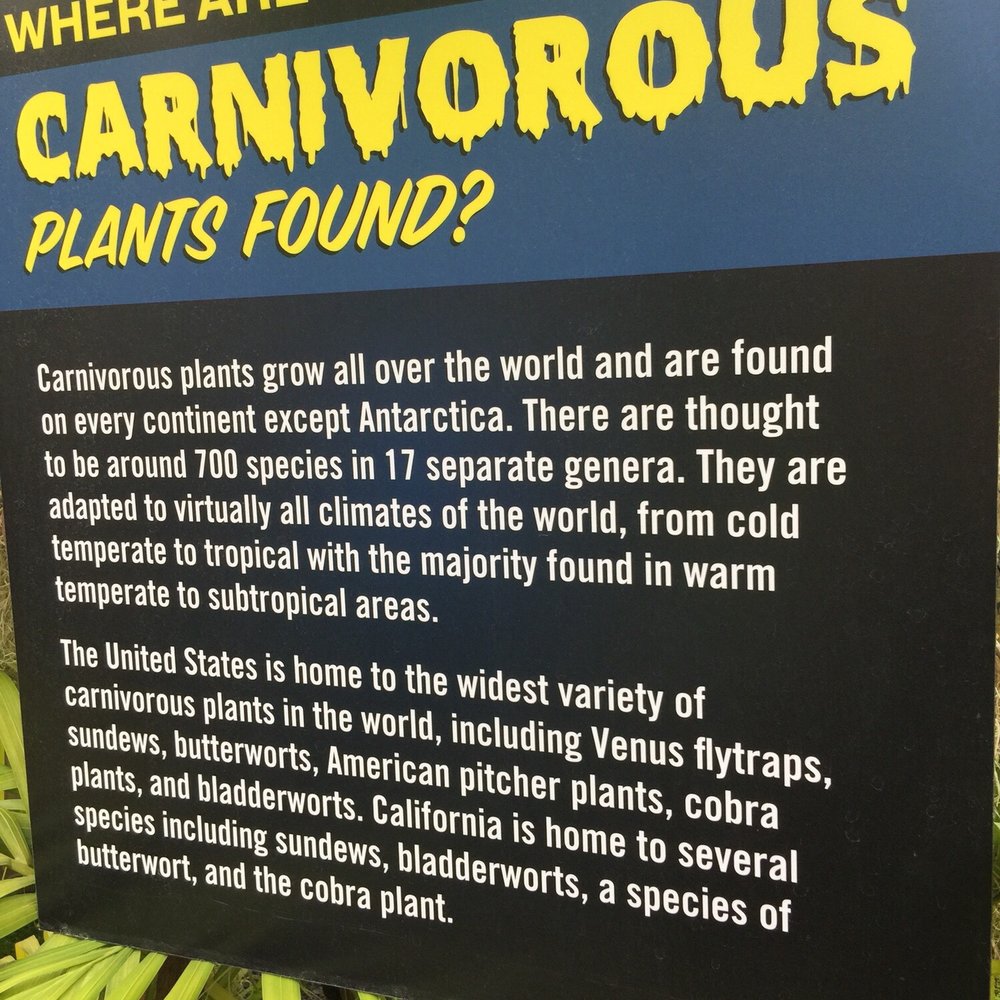 California Carnivores - Nurseries & Gardening Near Me - Sebastopol, California California Carnivores - Nurseries & Gardening Near Me - Sebastopol, California
