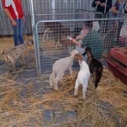Barnyard Babies