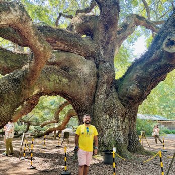 Angel Oak - Angel Oak_Yelp_Sanju-1 - Parks Near Me - Johns Island, South Carolina Angel Oak - Angel Oak_Yelp_Sanju-1 - Parks Near Me - Johns Island, South Carolina