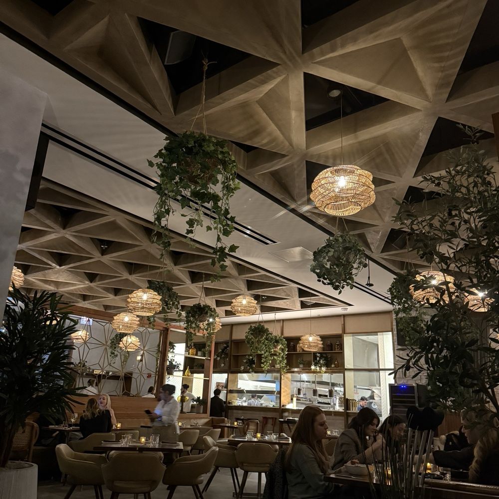 Yasemi, A Modern Mediterranean Restaurant - Mediterranean Near Me - Chicago, Illinois Yasemi, A Modern Mediterranean Restaurant - Mediterranean Near Me - Chicago, Illinois