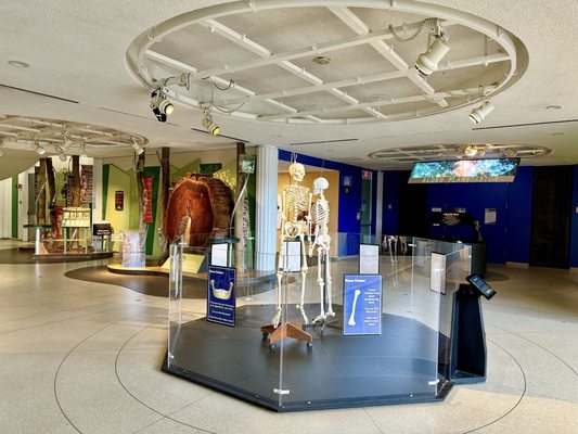 EcoTarium by null
