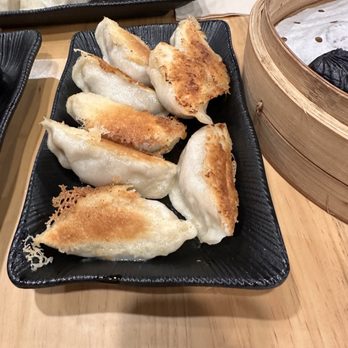 Dumpling King - Pan fried pork dumplings - Dim Sum Near Me - Coral Springs, Florida