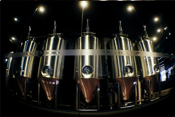 Cecil's Brewhouse and Kitchen by null