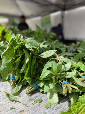 Evergreen Farmers' Market by null