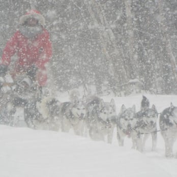 Escapade Eskimo - Sledding Near Me - Otter Lake, Quebec