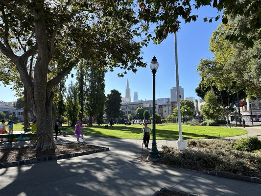 Washington Square by null