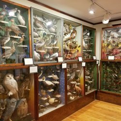 Hoard Historical Museum