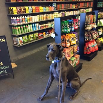 uShampooch - So much good stuff. He can't eat it all!!! - Pet Groomers Near Me - Redondo Beach, California uShampooch - So much good stuff. He can't eat it all!!! - Pet Groomers Near Me - Redondo Beach, California