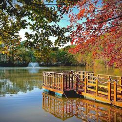 Lone Star Lakes Rv Park - Gorgeous transition into fall...