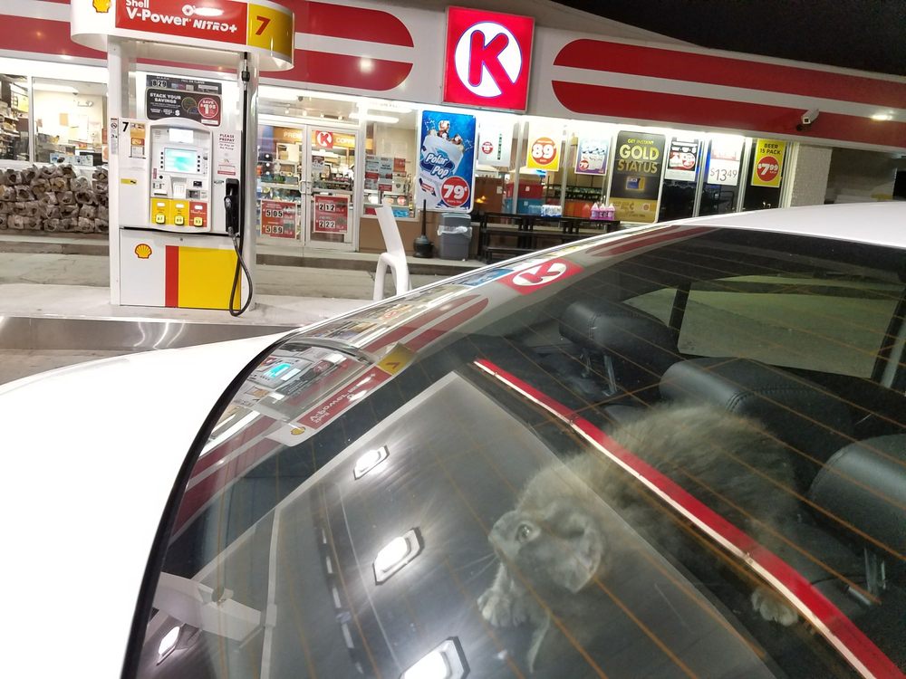 SHELL 207 4th St, Covington, Kentucky Gas Stations Phone Number