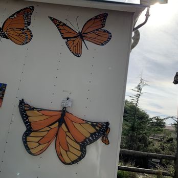 Monarch Butterfly Grove - Parks Near Me