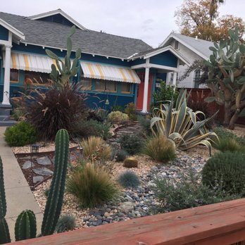 Garciagardeningservice - a front yard with cacti and succulents - Landscaping Near Me Garciagardeningservice - a front yard with cacti and succulents - Landscaping Near Me