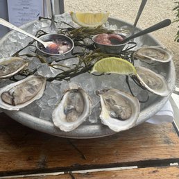 Oysters Oysters