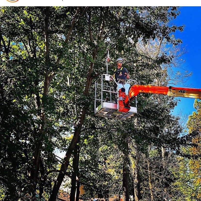 JA Krantz Landscapes - tree service in Swormville, NY
