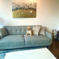 Dog friendly furniture, mid-century style sofa.
