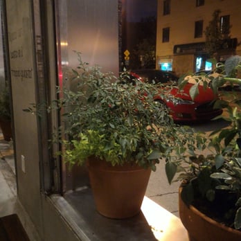Luciano Trattoria - a potted plant on a window sill - Italian Near Me - Montreal, Quebec