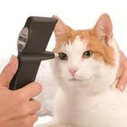 Accent Eyecare