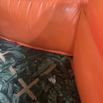 Scooter's Jungle - Trash - Party & Event Planning Near Me - Valencia, California
